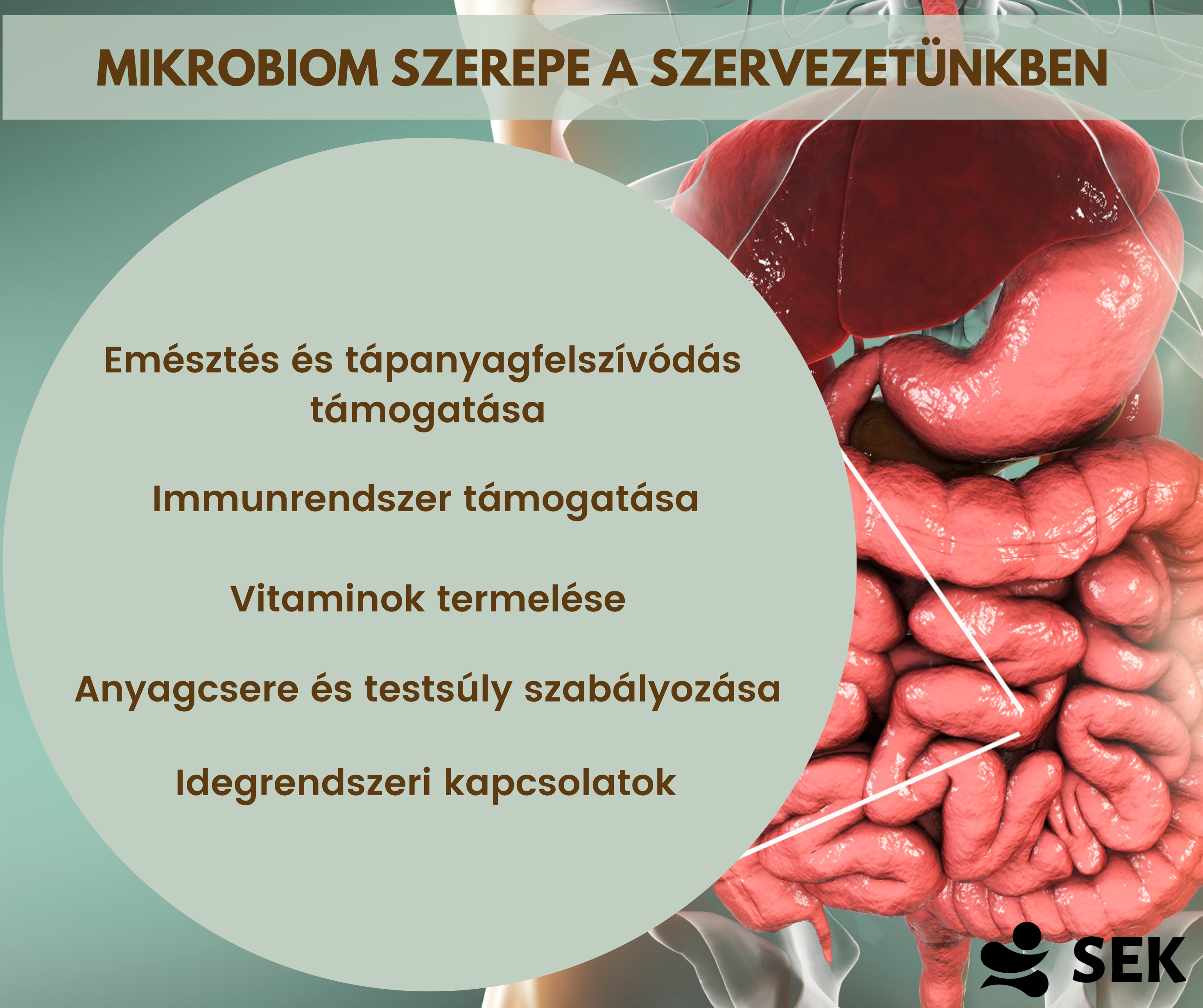 mikrobiom